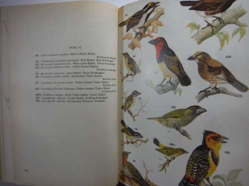 Roberts Birds of South Africa