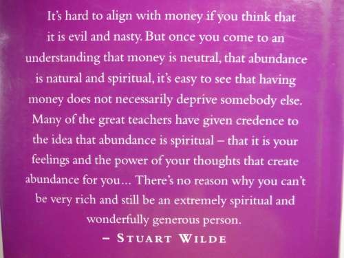 The Money Bible : Including the Ten Laws of Abundance - Stuart Wilde