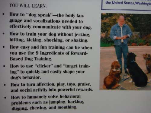 The Dog Whisperer : A Compassionate, Nonviolent Approach to Dog Training - Paul Owens