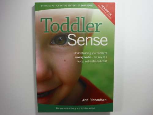 Toddler Sense - Ann Richardson