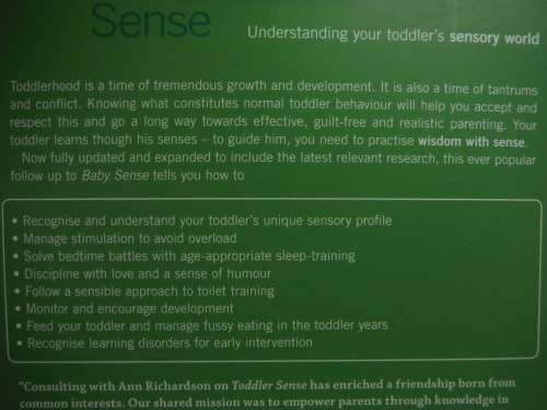 Toddler Sense - Ann Richardson