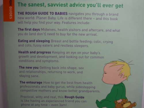 The Rough Guide to Babies - Miranda Levy