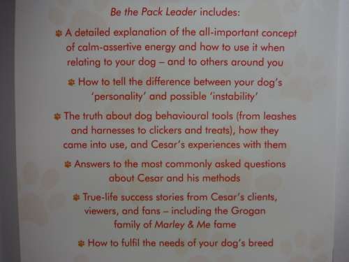 Be the Pack Leader - Paperback - Cesar Millan