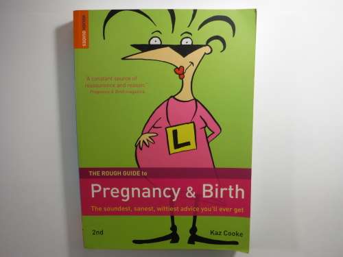 The Rough Guide to Pregnancy and Birth - Kaz Cooke