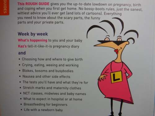 The Rough Guide to Pregnancy and Birth - Kaz Cooke