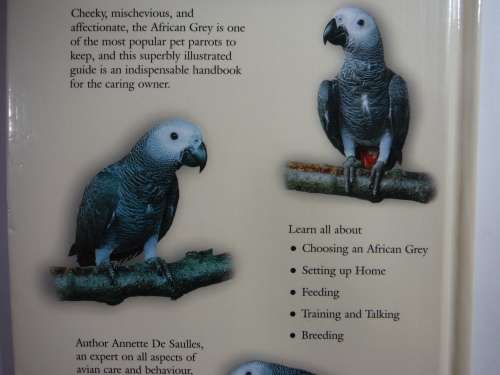 Pet Owner's Guide to the African Grey
