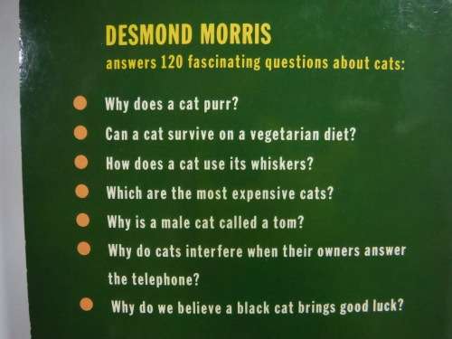 Catwatching and Catlore - Desmond Morris