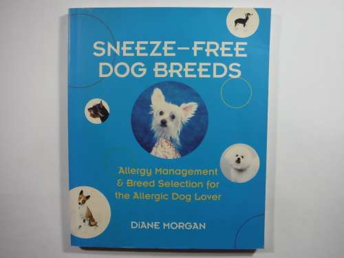 Sneeze-Free Dog Breeds - Allergy Management and Breed Selection for the Allergic Dog Lover