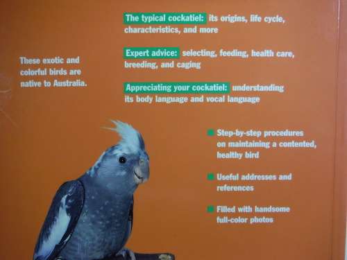 Cockatiels : A Complete Pet Owner`s Manual - Softcover - Thomas Haupt