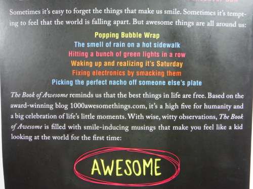 The Book of Awesome - Neil Pasricha