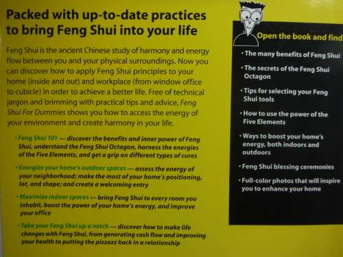 Feng Shui for Dummies - David Daniel Kennedy