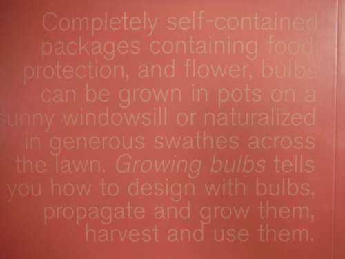 Growing Bulbs  Bulbs for Every Garden Style and Season - Paul Urquhart