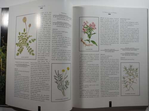 The Illustrated Book of Herbs - Barbara Hey