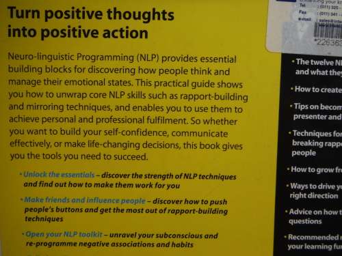 Neuro-linguistic Programming for Dummies - Romilla Ready