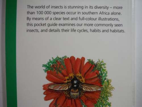 Struik Pocket Guide : Insects of Southern Africa - Eric Holm
