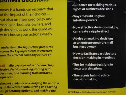 Decision Making For Dummies - Dawna Jones