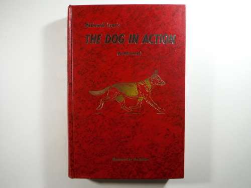 McDowell Lyon`s : The Dog in Action - A Study of Anatomy and Locomotion