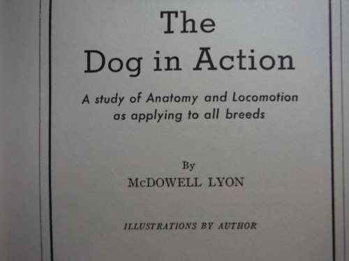 McDowell Lyon`s : The Dog in Action - A Study of Anatomy and Locomotion