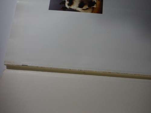 Why Cats Paint : A Theory of Feline Aesthetics - Heather Busch