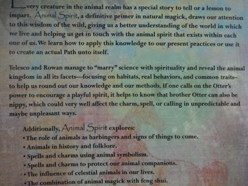 Animal Spirit : Spells, Sorcery, and Symbols From the Wild - Patricia Telesco