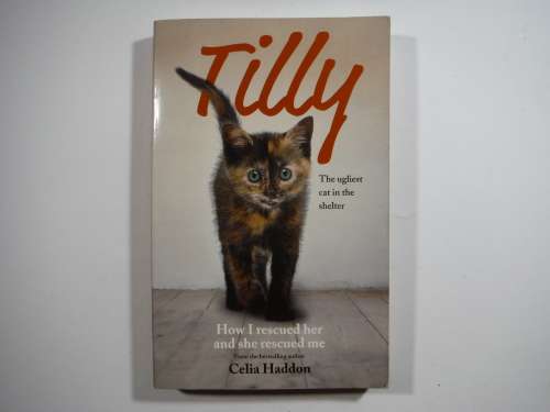 Tilly : The Ugliest Cat in the Shelter - Celia Haddon