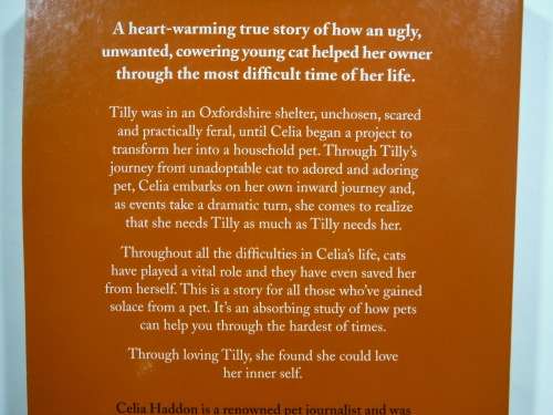 Tilly : The Ugliest Cat in the Shelter - Celia Haddon