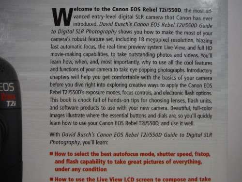 David Busch`s Canon EOS Rebel T2i/550D Guide to Digital SLR Photography