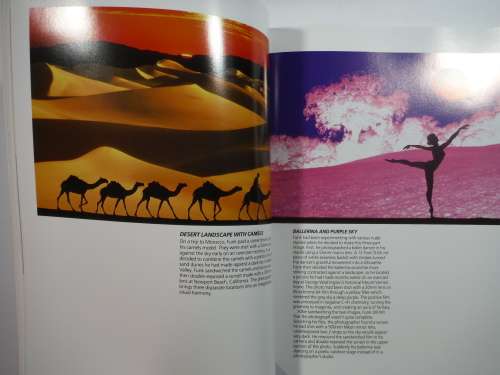 Special Effects Photography : The Art and Techniques of Eight Modern Masters - Kathryn E.Livingston