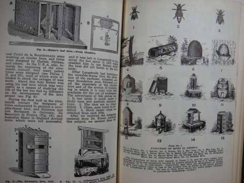 ABC and XYZ of Bee Culture - The A.I. Root Bee Library - 32nd Edition - 1962