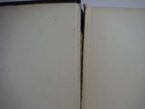 ABC and XYZ of Bee Culture - The A.I. Root Bee Library - 32nd Edition - 1962