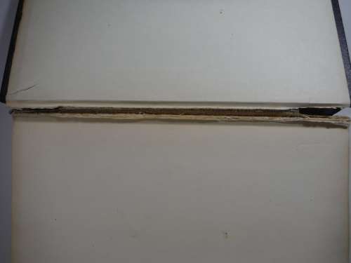 ABC and XYZ of Bee Culture - The A.I. Root Bee Library - 32nd Edition - 1962