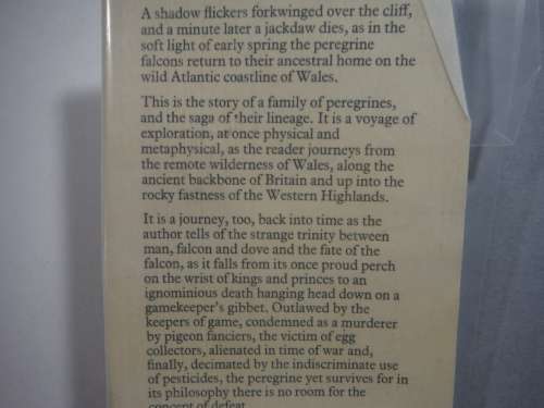 In the Shadow of the Falcon - Hardcover - Ewan Clarkson