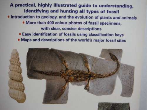 Philip`s Guide to Fossils  - Paperback