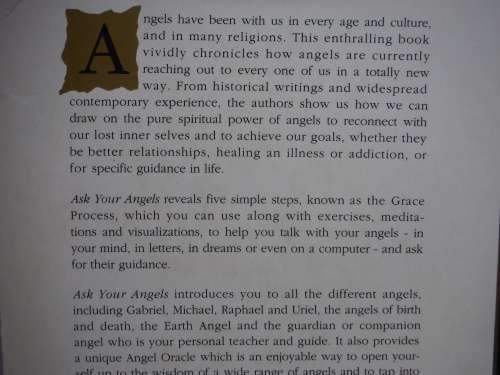 Ask Your Angels : A Practical Guide to Working With Angels to Enrich Your Life - Alma Daniel