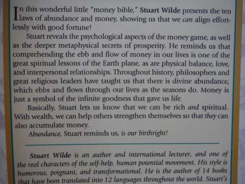 The Little Money Bible : The Ten Laws of Abundance - Stuart Wilde