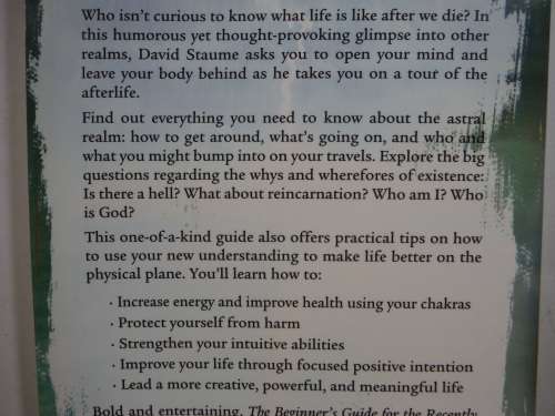 The Beginner`s Guide for the Recently Deceased - David Staume