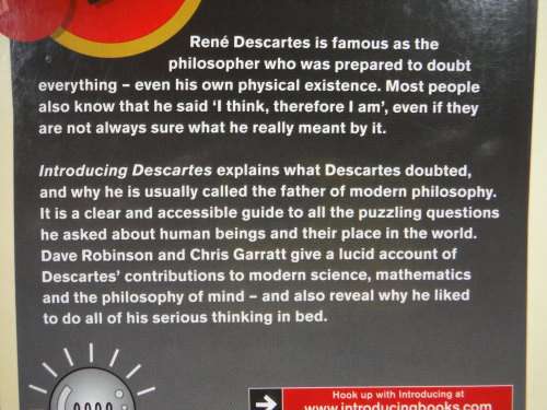 Descartes : A Graphic Guide - Paperback - Dave Robinson