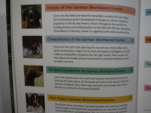 German Shorthaired Pointer - Hardcover - Nona Kilgore Bauer