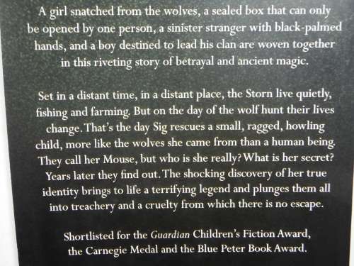 The Dark Horse - Paperback - Marcus Sedgwick