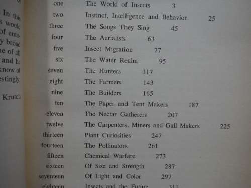 Insects - Paperback - Ross E. Hutchins