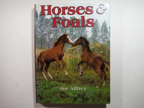 Horses & Foals - Hardcover - Sue Allfrey