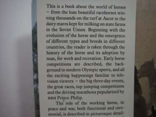 Horses & Foals - Hardcover - Sue Allfrey