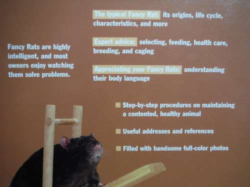 Fancy Rats : A Complete Pet Owner`s Manual - Softcover - Gisela Bulla