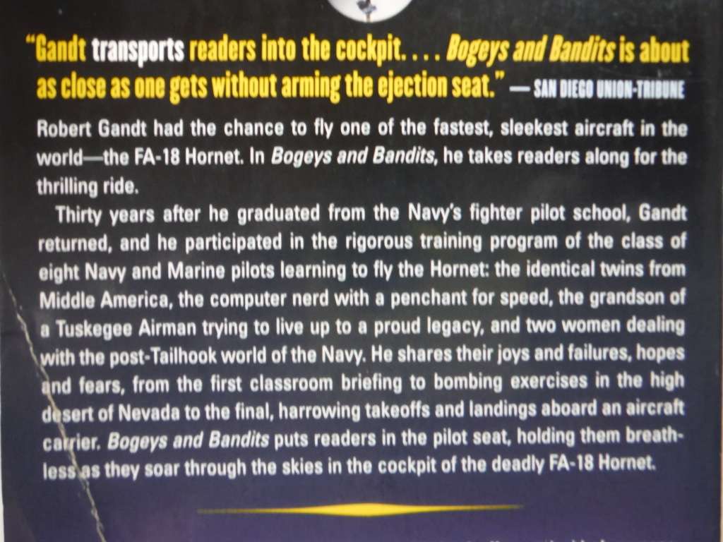 Bogeys and Bandits : The Making of a Fighter Pilot - Paperback - Robert Gandt