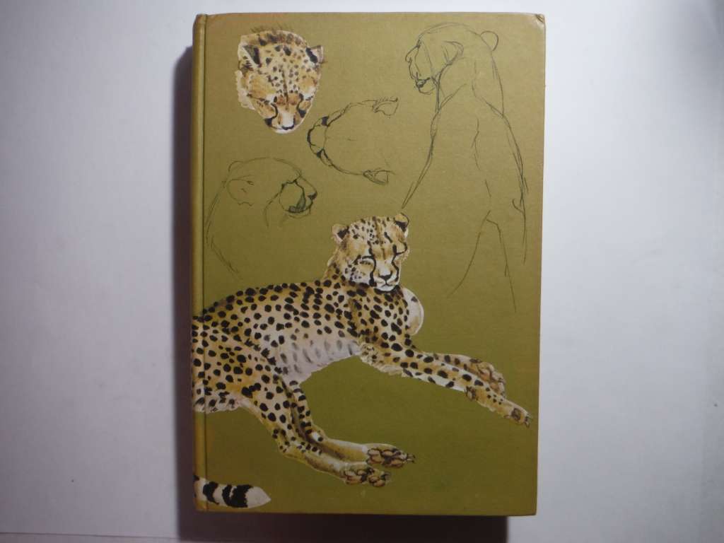 The spotted Sphinx - Hardcover - Joy Adamson - 1969