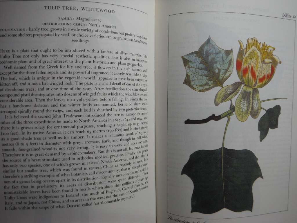 Curtis`s Flower Garden Displayed : 120 Plates from the Years 1787-1807 - Hardcover