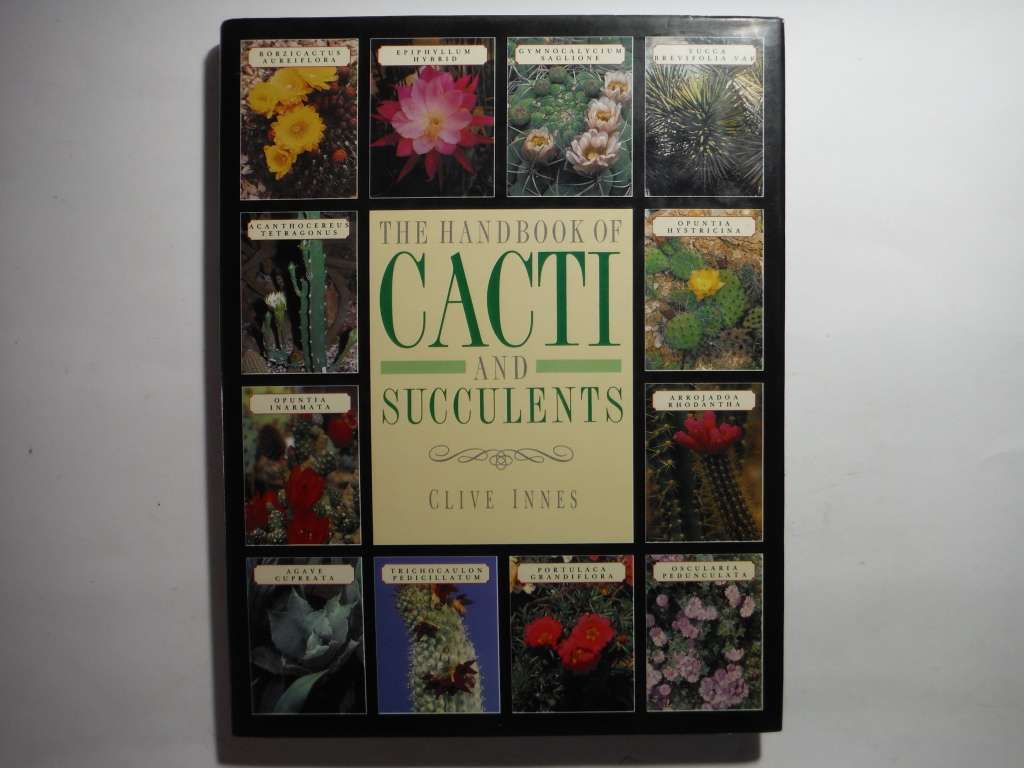 The Handbook of Cacti and Succulents - Hardcover - Clive Innes - 1988