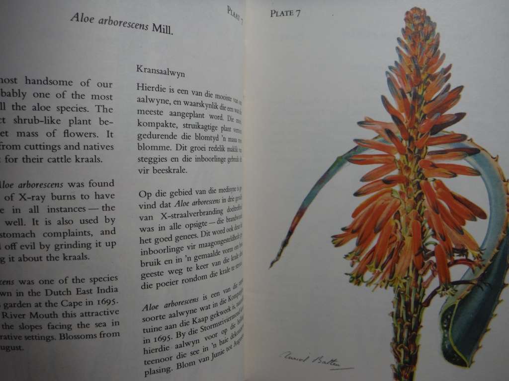 The Flowering Plants of the Tsitsikama Forest and Coastal National Park