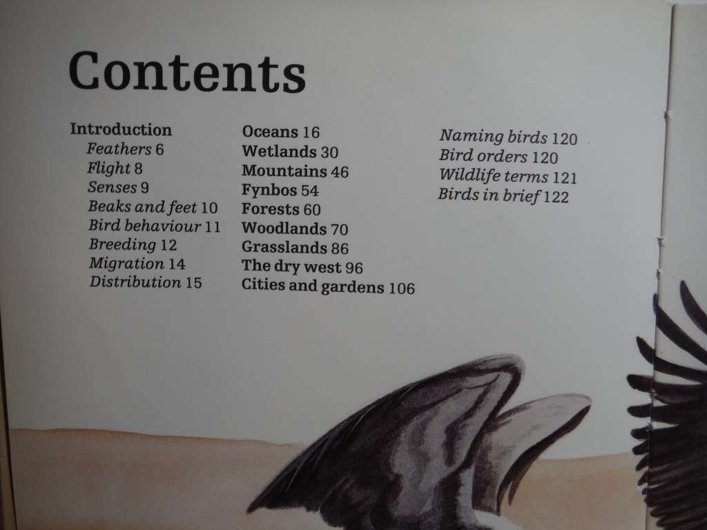 Discovering Birds : A Guide to Over 180 Species in Southern Africa - Hardcover