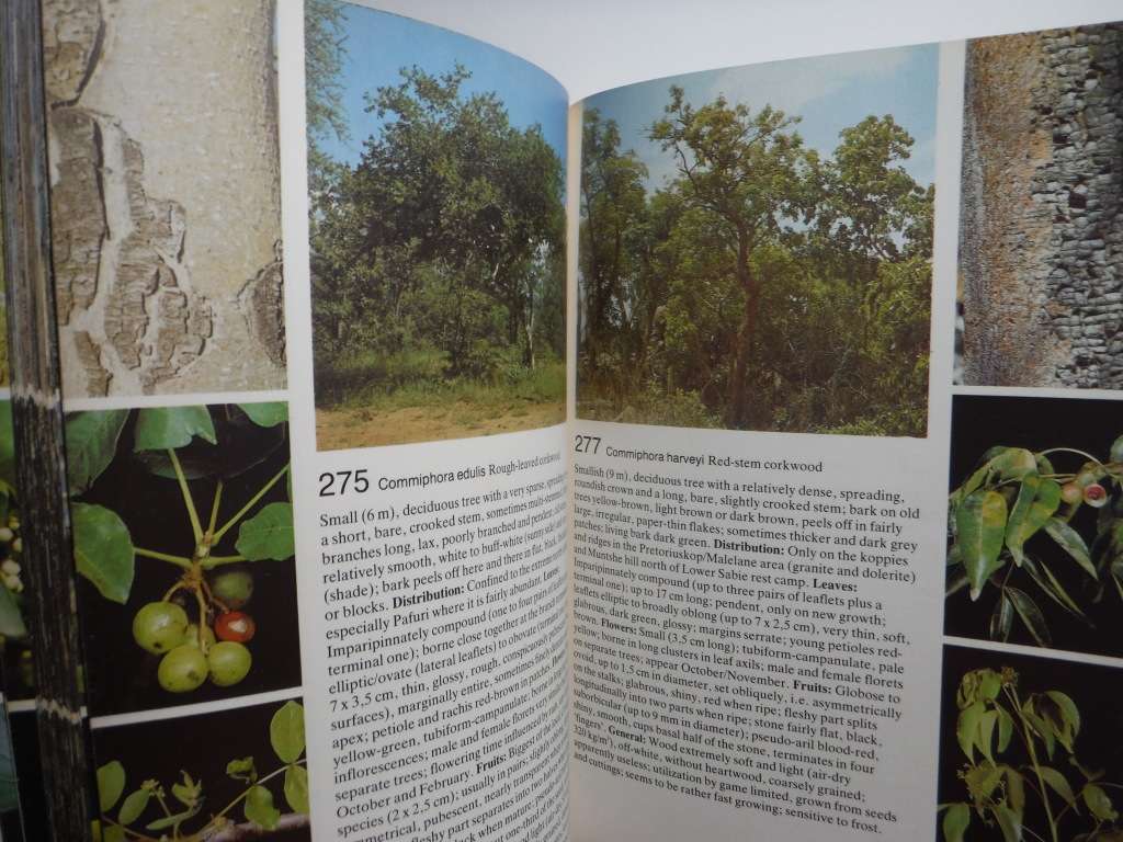 Piet van Wyk`s Field Guide to the Trees of The Kruger National Park - Paperback
